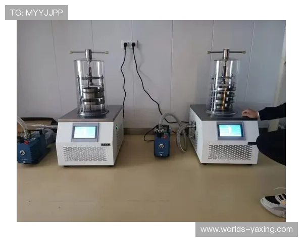 亚星仪科企业发展历程与市场布局策略，为行业提供宝贵经验借鉴